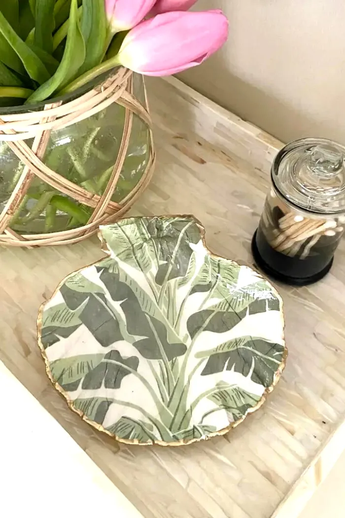 Coastal Decorative Shell