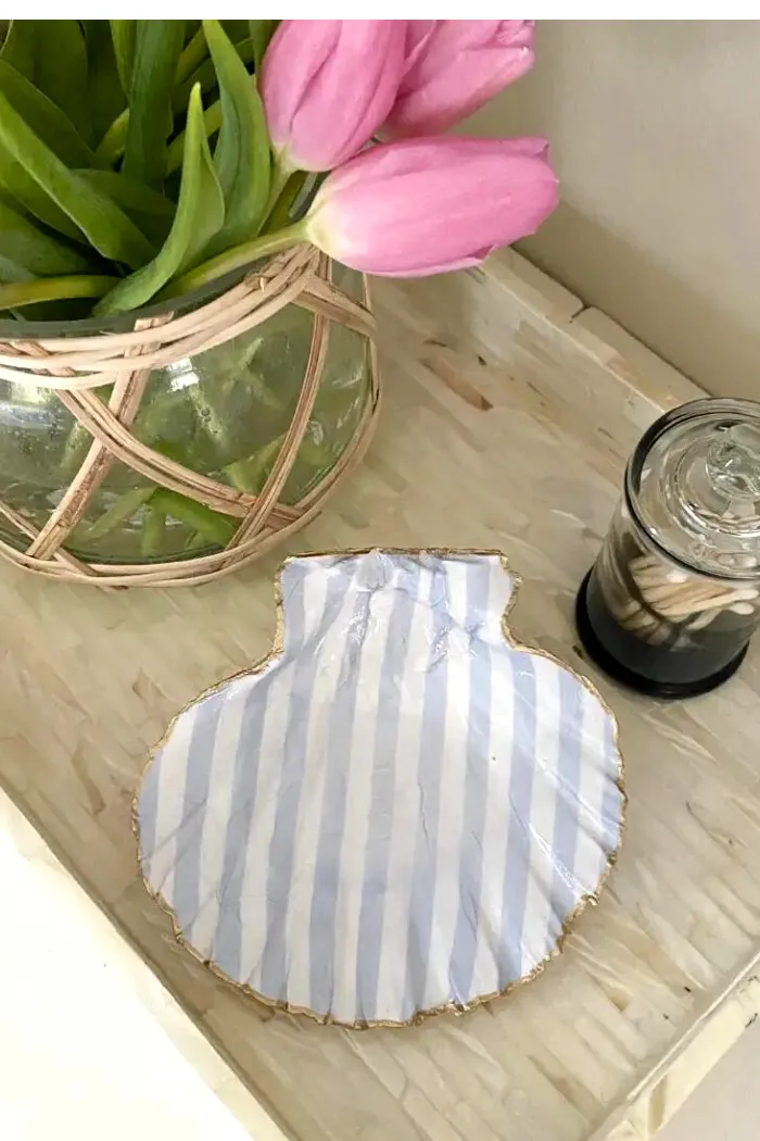 Coastal Decorative Shell
