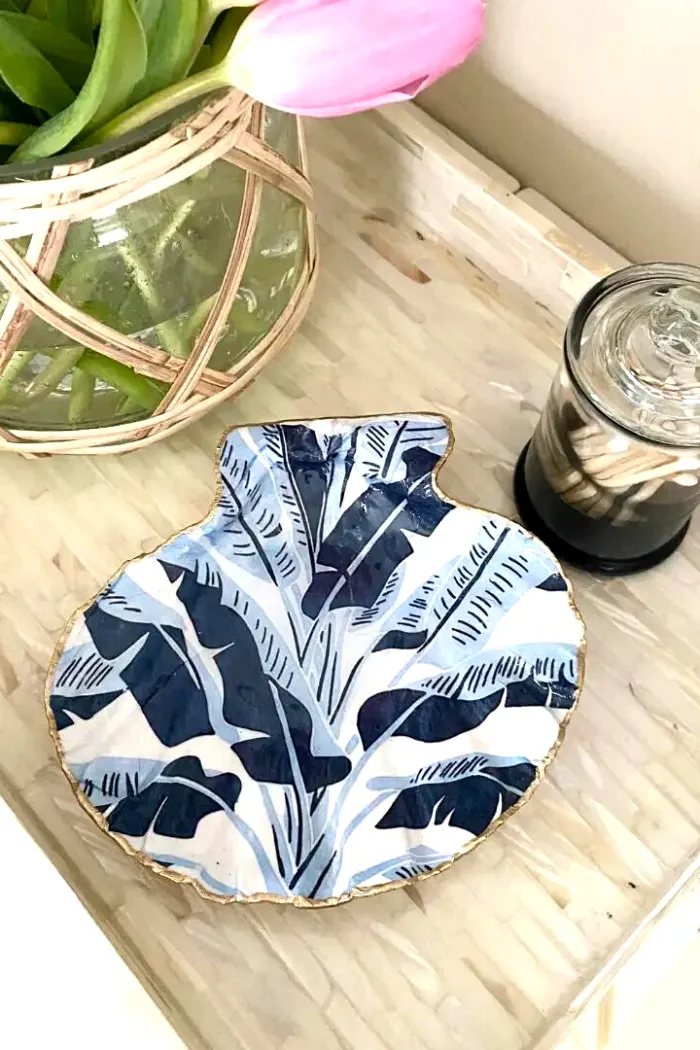 Coastal Decorative Shell