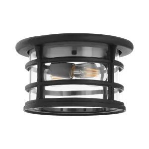 Haley Coastal Grade Outdoor Ceiling Mount