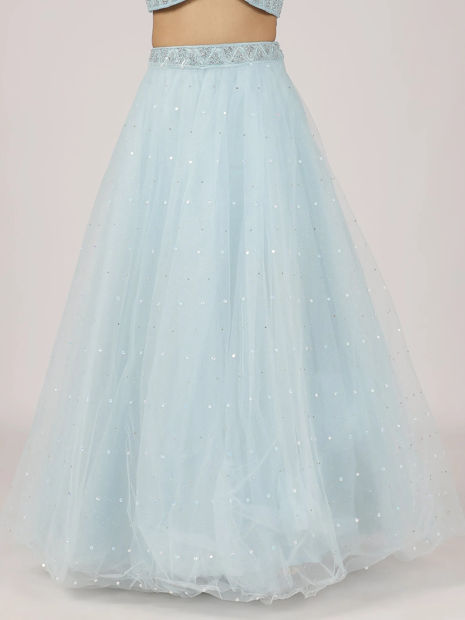 Sky Blue Embroidered Net Lehenga with Sequins & Mirror Work