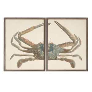 Vintage bookplate of a crucifix crab diptych